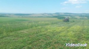 Трактора🚜🚜 Т-16. Т-25 сенокос