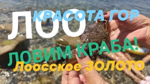 ЛОО ! ЛОВИМ КРАБА! КРАСОТА ГОР! ЛООССКОЕ ЗОЛОТО! ГОСТЕВОЙ ДОМ АНГЕЛ!
