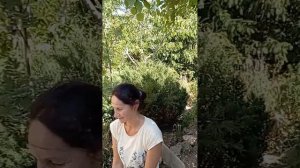 Новая печь в Универсолисе для больших объёмов питания на Форумах проходдит испытания 11.07. МНШУ