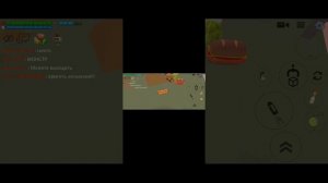 Что происходит на кошачьих серверах чикенга 2.0 третья часть