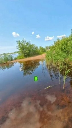 Мы Смелые, Но Мокрые | На Эндуро По Лужам