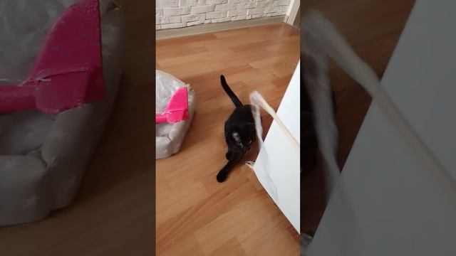 1000025587.mp4