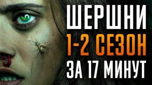 Шершни 1-2 сезон за 17 минут | Шершни краткий пересказ | Yellowjackets