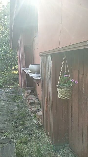 VID20250710163609 смотреть онлайн