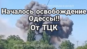 МРИЯ⚡️ ТАМИР ШЕЙХ / НАЧАЛОСЬ ОСВОБОЖДЕНИЕ ОДЕССЫ ОТ ТЦК! Новости Сводки
