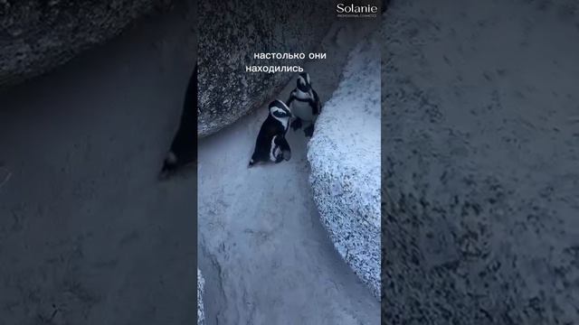 На краю света вместе🌊