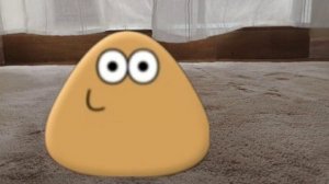 я нашел у себя дома pou | #pou #пу #pou в реальной жизни