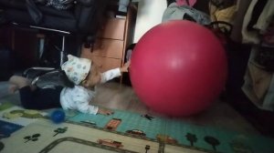 Большой Красный мячик и маленький любимый синий мячик 7 месяцев