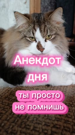 Анекдот дня.