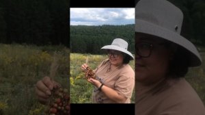 Встреча родственниками , база отдыха Нурлы Кугарчинском районе деревни Бикбулатово