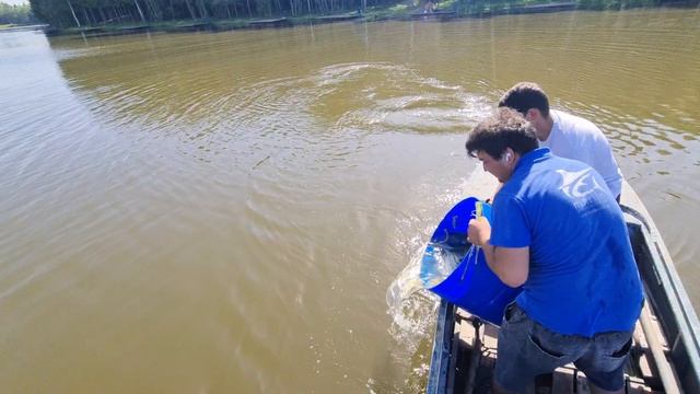 Запуск осетра смотреть онлайн