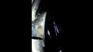 MMC DELICA 4M40 неисправность ТНВД, снятие.