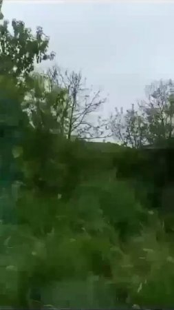 Деревенъка моя, дальняя.,.