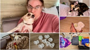 Влог 📽️ Эми приболела 🐶 Мои творения из гипса/Покупочки с Вайлдберрис 🛍️ Поболтаем 😊