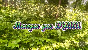 Мелодия для души, красивая инструментальная музыка