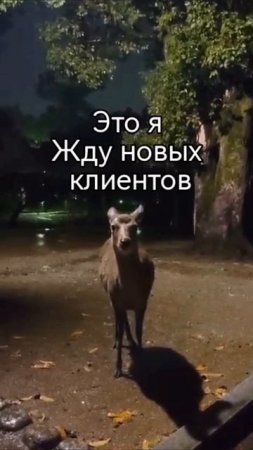 И куда только все человеки пропали #свечи