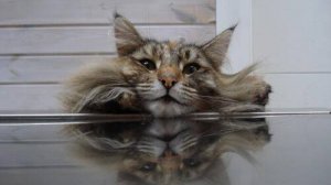Факты про Еду.