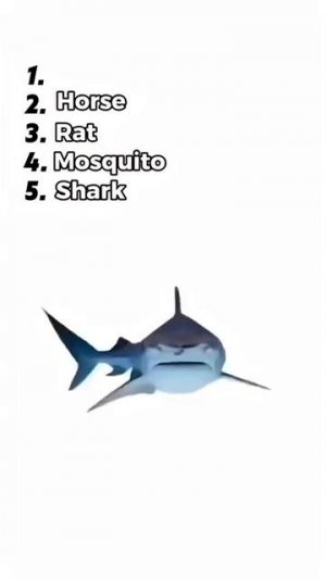 cat horse shark mosquito