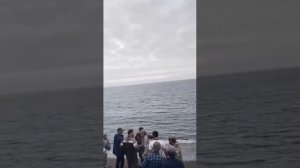 Ничего не обычного, просто приезжая частная охрана, в городе Макаров !!!