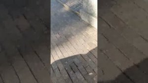 1000009330.mp4