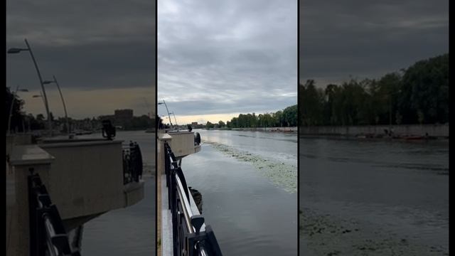 Наловили рыбы на Преголе. Калининград.