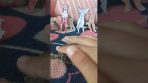 Рубрика вопрос ответ! Спасибки всем за вопросы я на них всех ответела если что🤭🤩🐱😻😻😻😻