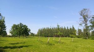 Погода Петербург . 11.07.2025 . 15:51 . +23° .