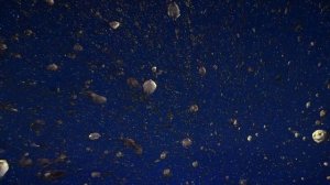 IMG_23761998374