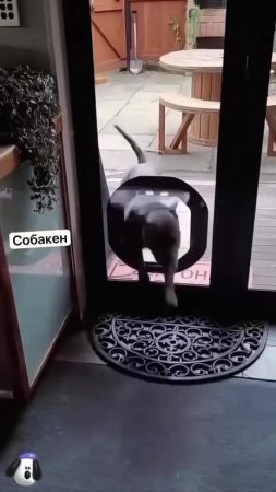 Подпишись 👉 https://vk.com/ykrasheniy_iz_kamny
