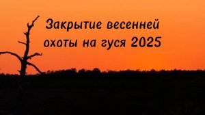 Болото не отпускает! Заходим в избушку к соседям.