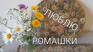 Ромашки в смоле. Часы и поднос. #сезонконтентаRUTUBE
