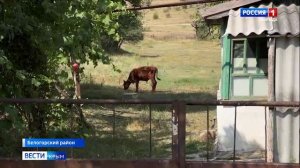 В селе Ульяновка Белогорского района приступили к строительству нового водопровода