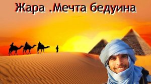 Жажда.Мечта бедуина..Египет,верблюды