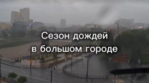 Сезон дождей в большом городе