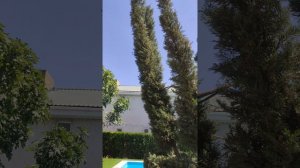 Крым Дом Гармония.mov