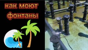 Фонтан очень грязный. Чистка фонтана . Запретите купаться детям Это опасно #сезонконтентаRUTUBE