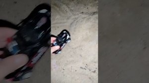 Видео про машинки монстр траки