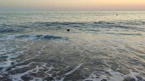 Абхазия Цитрусовый совхоз Море Пляж Пансионат Сосновая роща Закат 11 июля 2025 г.