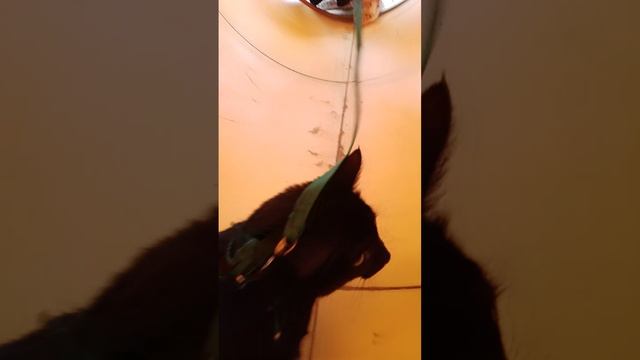 1000027945.mp4