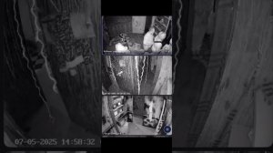 Квест "Психиатрическая больница" в Голубицкой