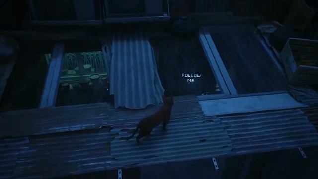 Stray 3 смотреть онлайн