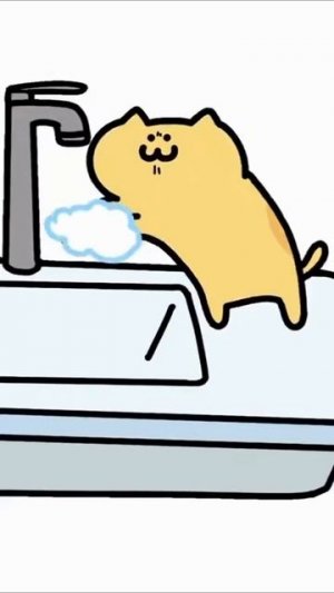 кот