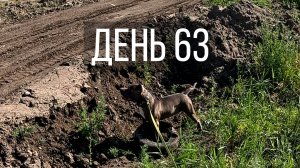 День 63