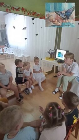 Выставка бабочек
