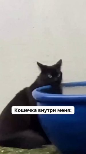 Бабушка плохому не научит. 🤣⚡️