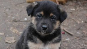 Моё первое видео