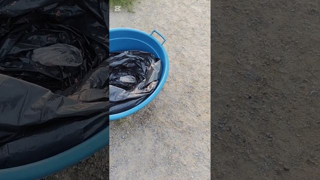 Подфартило с фаршиком