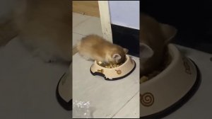 1000054058.mp4