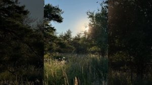 Россия, деревенская природа в фотографиях🥰🔥