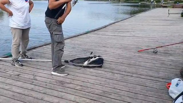 Поимка осетра смотреть онлайн